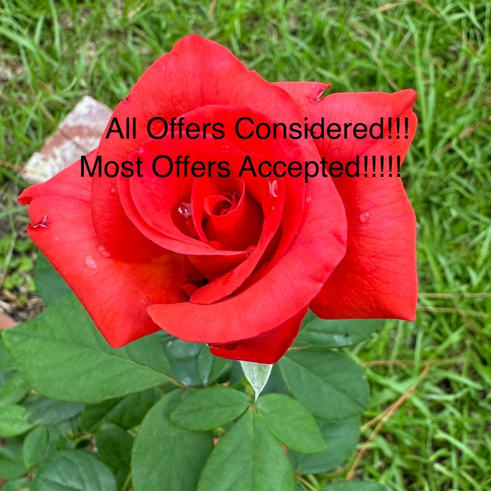 WE TAKE REASONABLE OFFERS!!!